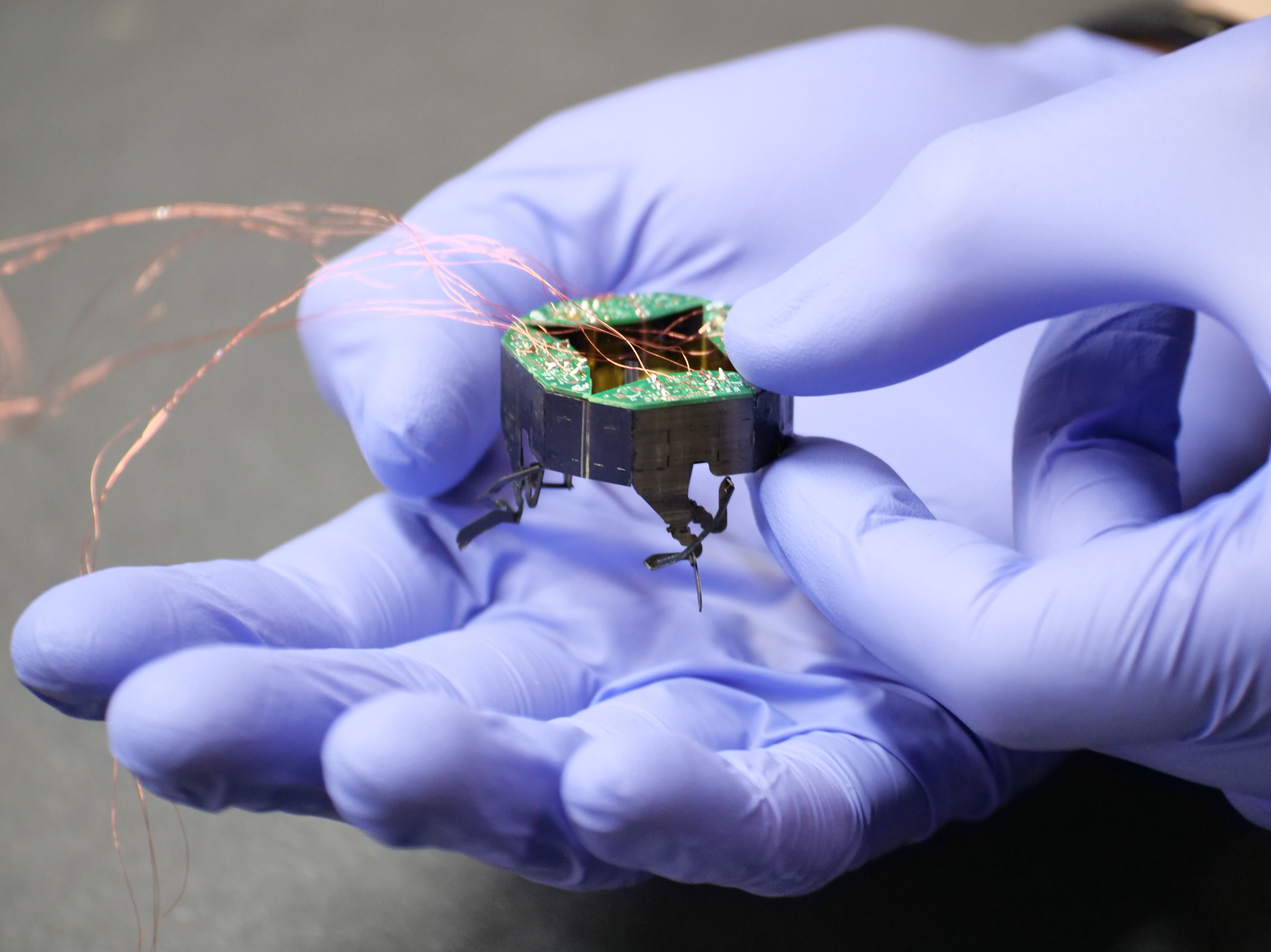 CLARI, a miniature robot designed by engineers at CU Boulder, can passively change its shape from square to long and slender or wide like a crab. (Credit: Casey Cass/CU Boulder)