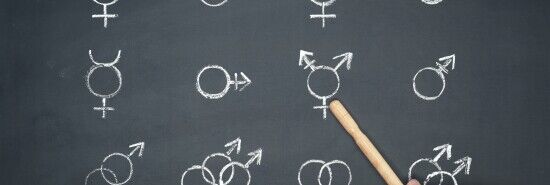Vermont school district says ‘Detransition Awareness Day’ violates equity policy