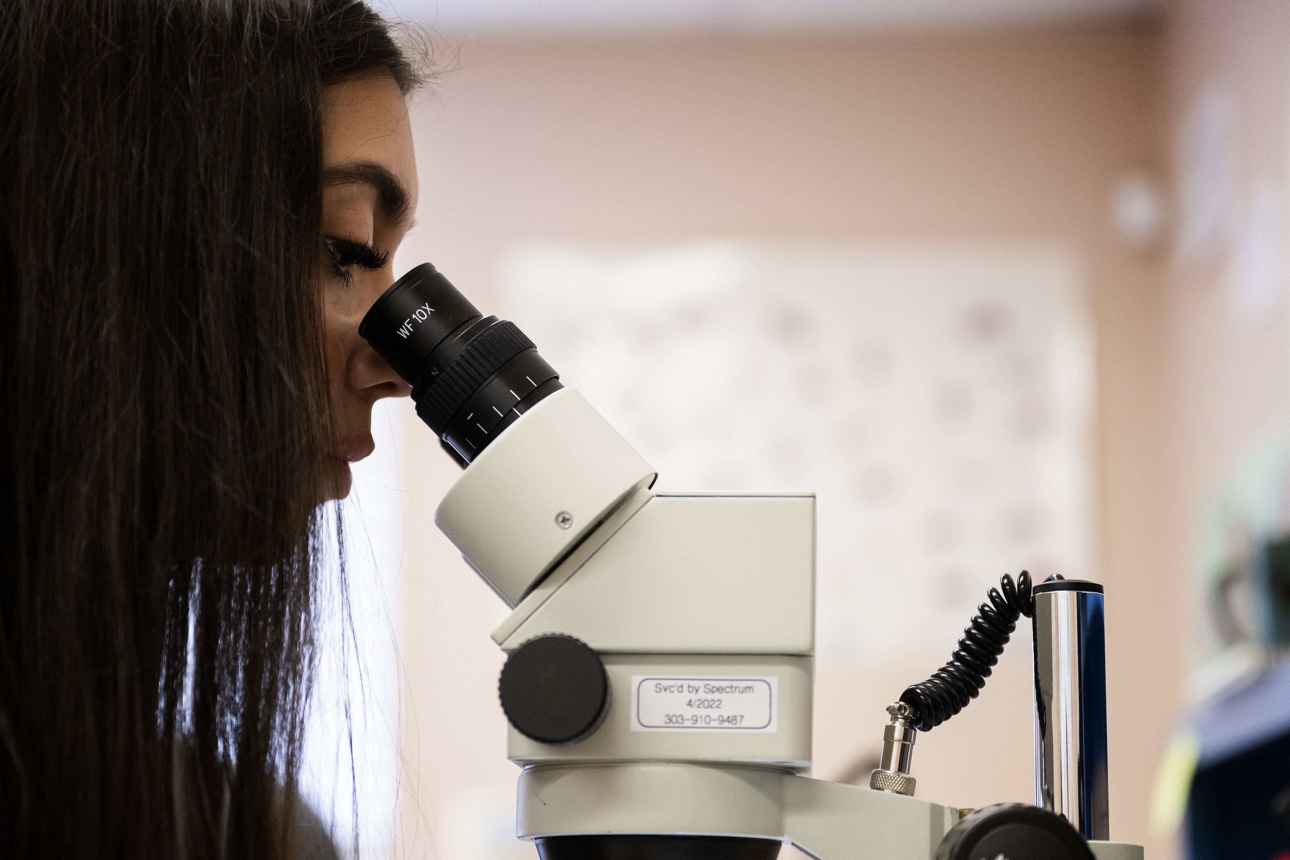 Surveillance technician Yailenne Rodriguez peers into a microscope while sorting through a pile of recently trapped mosquitoes at Vector Disease Control International on Thursday, Aug. 10, 2023, in Broomfield. (Timothy Hurst/Denver Gazette) (TimHursttim.hurst@gazette.comhttps://secure.gravatar.com/avatar/aca82bd62b4ee425c598527cd6faa1b1?d=mm&r=g)