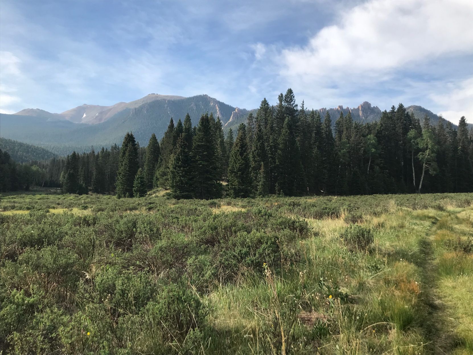 A green meadow rolls out in front of the Crags on the way to Raspberry Mountain on June 29, 2020. (Nathan Van Dyne, courier file)