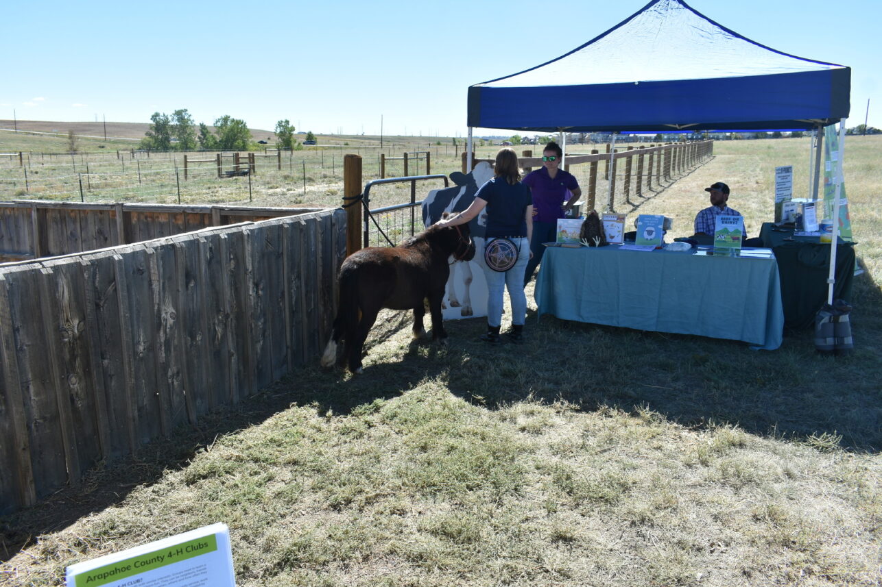 Aurora's 2022 Agriculture Festival (Courtesy: City of Aurora)