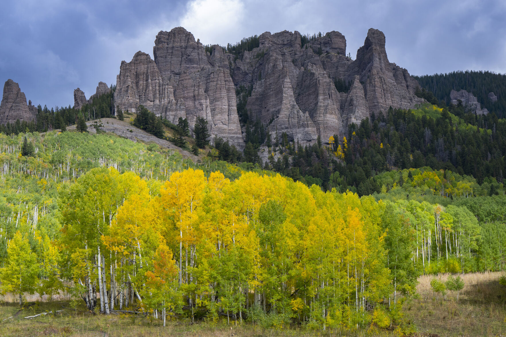 Aspens begin to turn on the east side of Owl Creek Pass between Ridgeway and Cimarron, Colo., Wednesday, Sept. 28, 2022. (The Gazette, Christian Murdock) (Christian Murdock/The Gazette)
