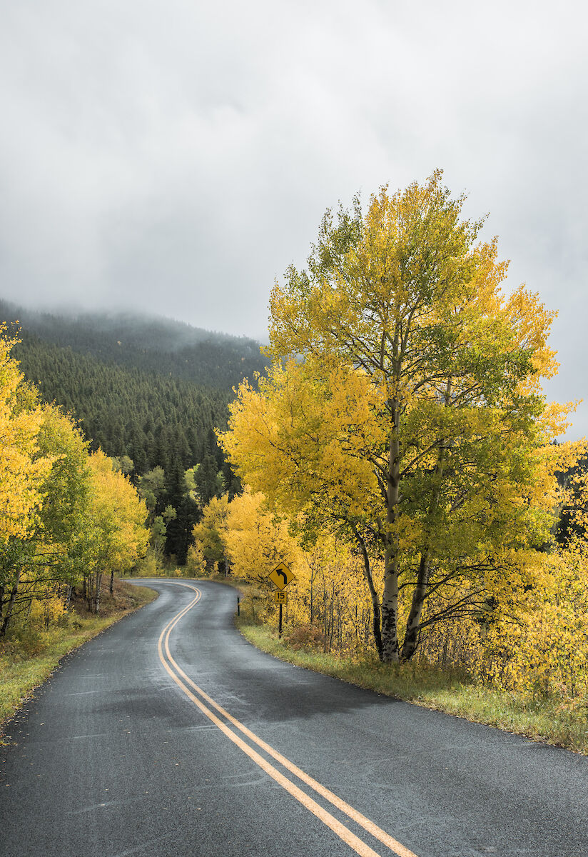 Aspen glows along the road through Golden Gate Canyon State Park. Photo courtesy Colorado Parks and Wildlife/Dustin Doskocil (Dustin Doskocil)
