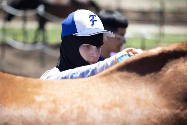 Cyrus Haggard grooms a horse