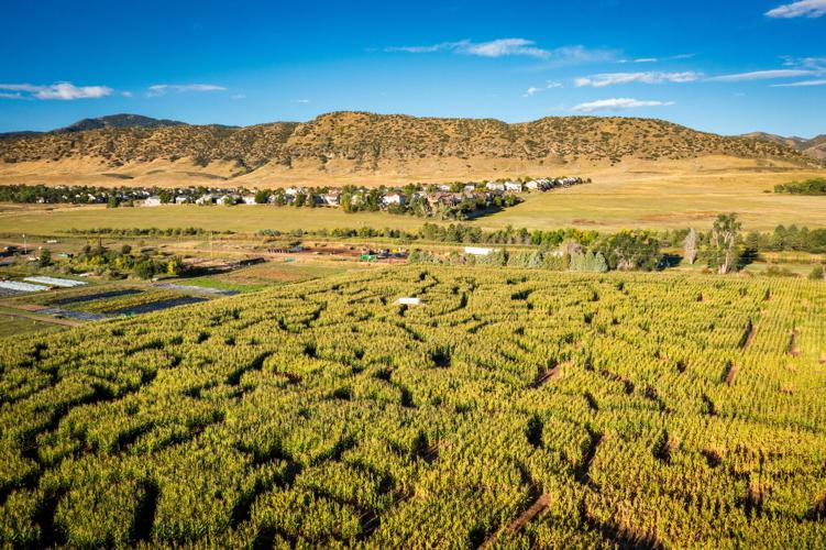 20230920_corn-maze-drone_016.jpg