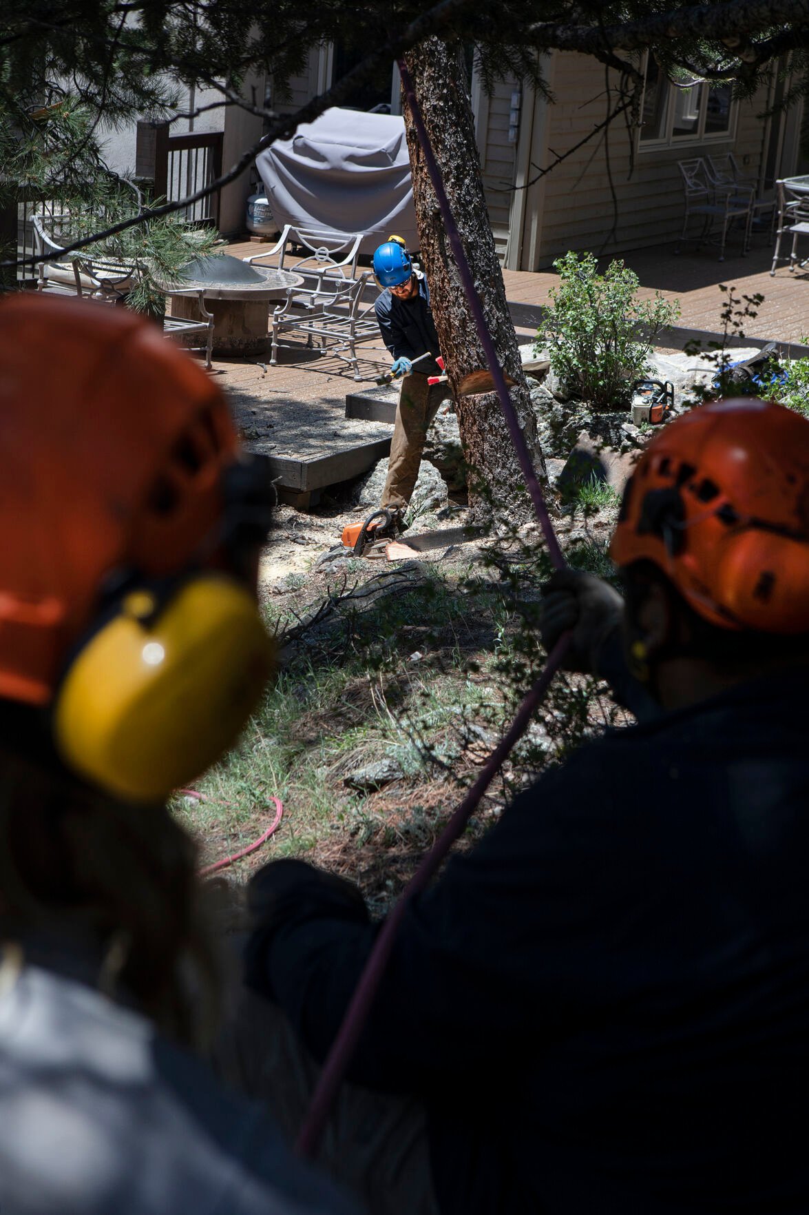FILE PHOTO: LAM Tree Service climber Ezra Vaughn prepares to fell a pine tree next to the deck on Rich Mancuso and Debbie Pasko’s property while bucket truck operator Tyler Engebritson and foreman Elias Cerna pull on a rope attached to the tree on Thursday, June 2, 2022, in Evergreen, Colo. (Timothy Hurst/The Denver Gazette) (TimHursttim.hurst@gazette.comhttps://secure.gravatar.com/avatar/aca82bd62b4ee425c598527cd6faa1b1?d=mm&r=g)