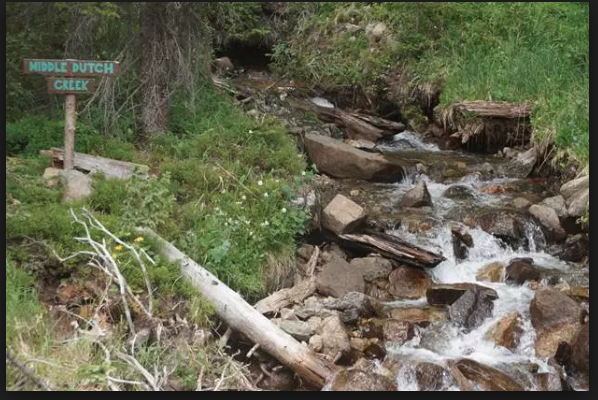 Colorado lawmakers, officials grapple with U.S. Supreme Court ruling on wetlands