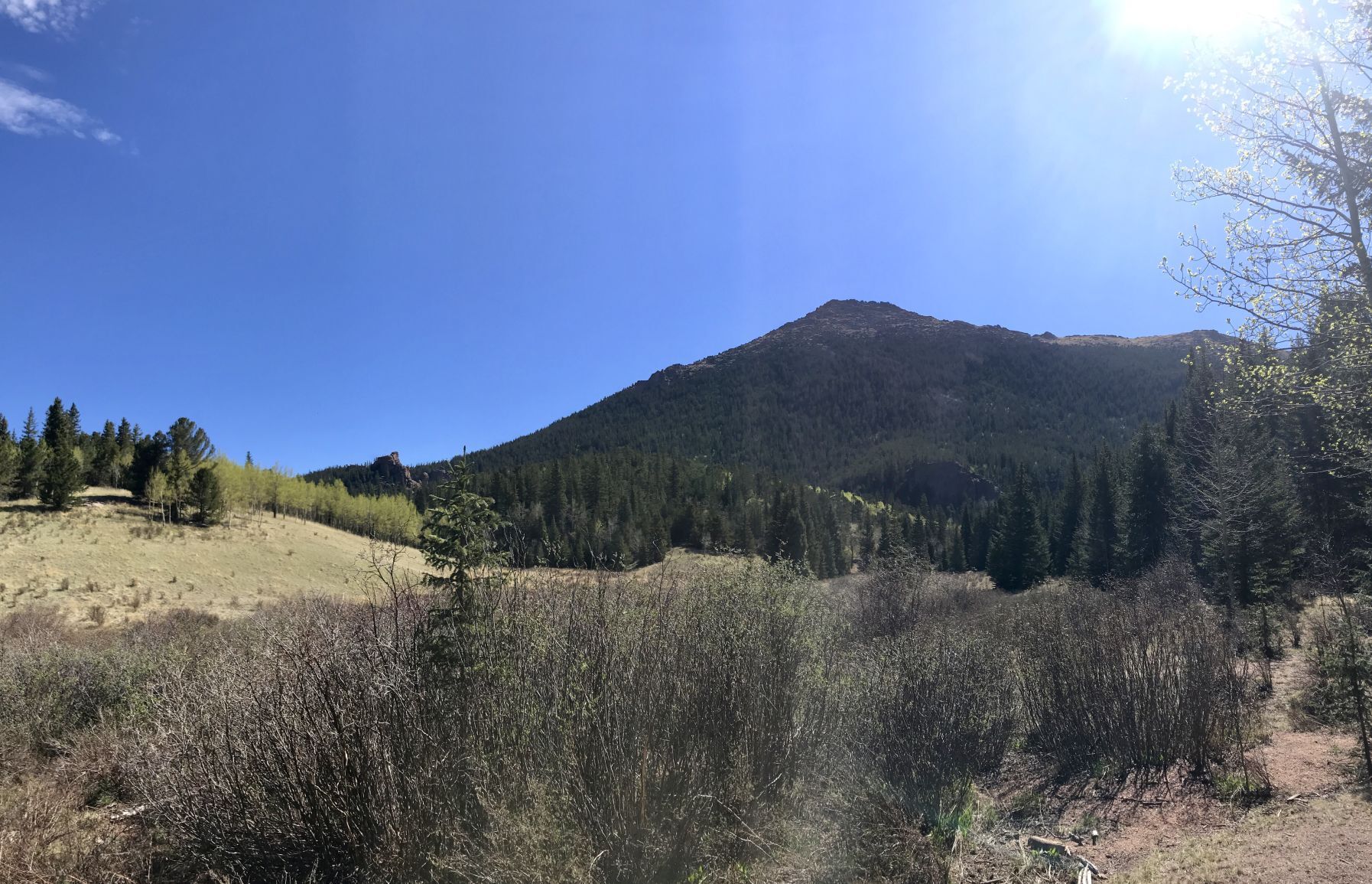 Sentinel Point is seen from a meadow along the Horsethief Park Trail in Teller County. Gazette file (Gazette file)