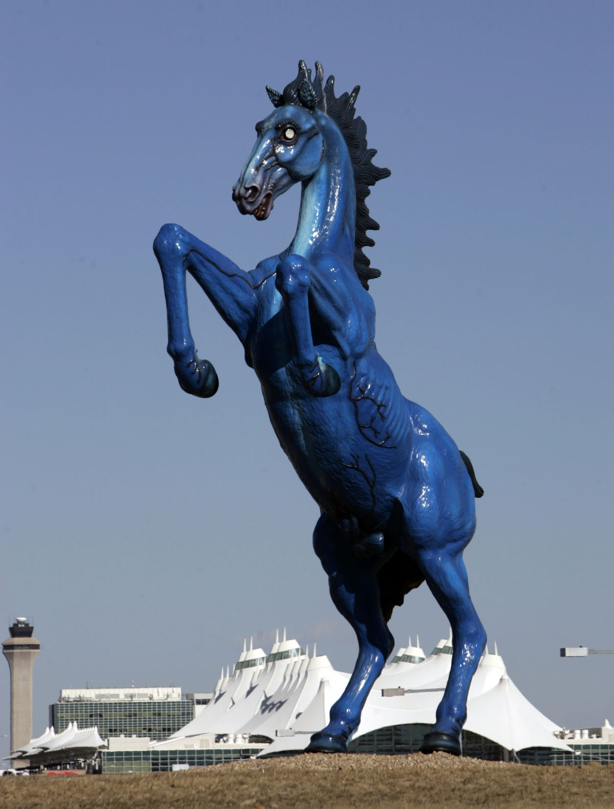 EDITORIAL: Bluecifer, Freemasons and the curse of DIA