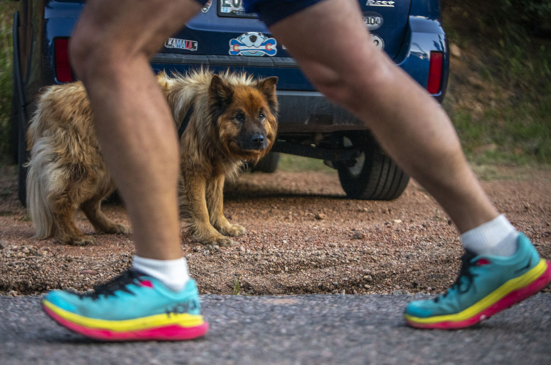 Residents of Manitou Springs cheer on runners at the start of Pikes Peak Marathon in Manitou Springs on Sunday, September 17, 2023. (Gabi Broekema)