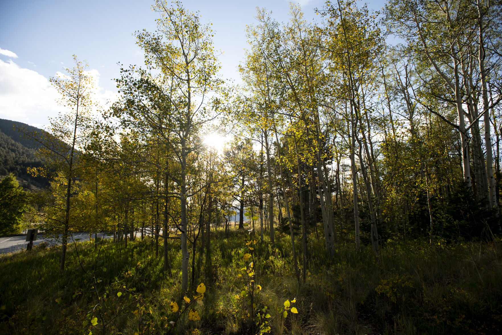 The sun peaks through changing aspens on Wilkerson Pass, near Hartsel, on Tuesday, Sept. 27, 2022. (The Gazette, Parker Seibold)