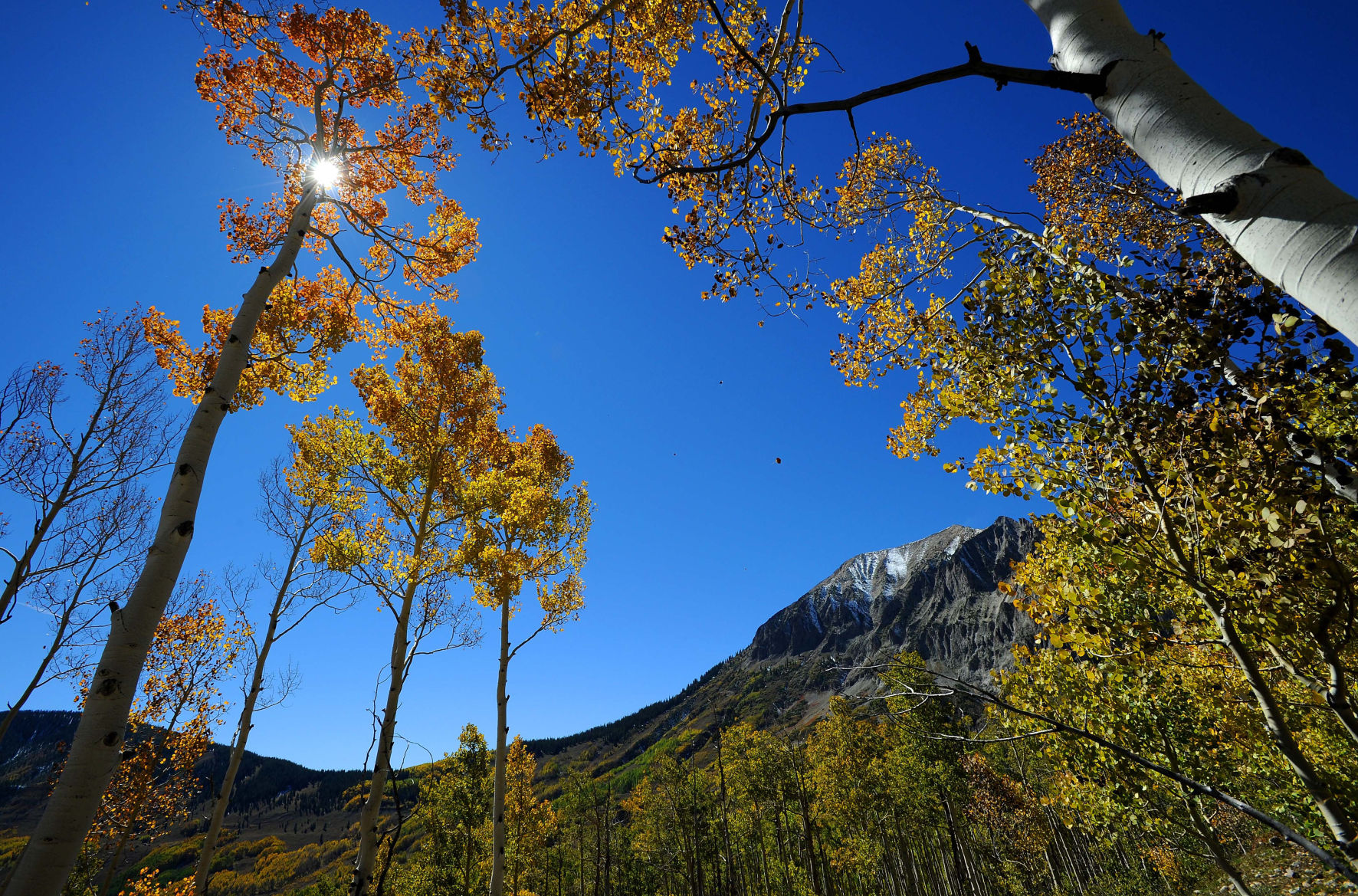 The sun shines through the turning aspens along the Judd Falls trail near Gothic, Sunday, Sept. 29, 2013. (The Gazette, Christian Murdock) (CHRISTIAN MURDOCK)