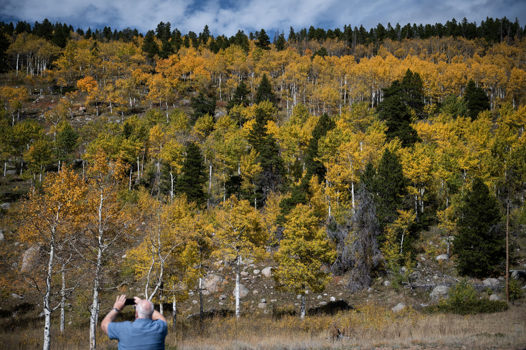 Gary Kinn, from Longmont, snaps a photo of a large aspen grove of the hillside by Bear Lake Road on Monday, Oct. 2, 2023, in Rocky Mountain National Park, Colo. (Timothy Hurst/Denver Gazette) (TimHursttim.hurst@gazette.comhttps://secure.gravatar.com/avatar/aca82bd62b4ee425c598527cd6faa1b1?d=mm&r=g)