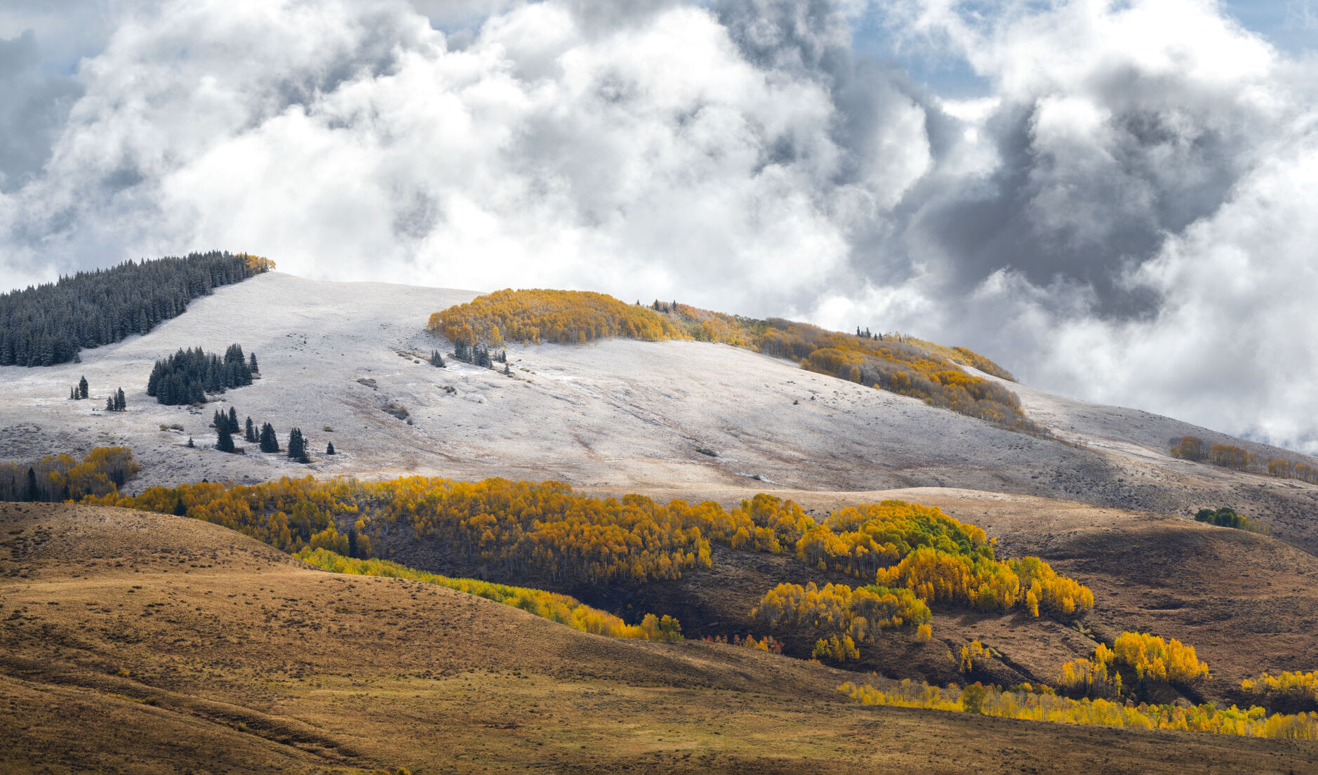 An overnight snowstorm dust the hills outside Crested Butte as the aspens turn this month. (photos by Christian Murdock, The Gazette)