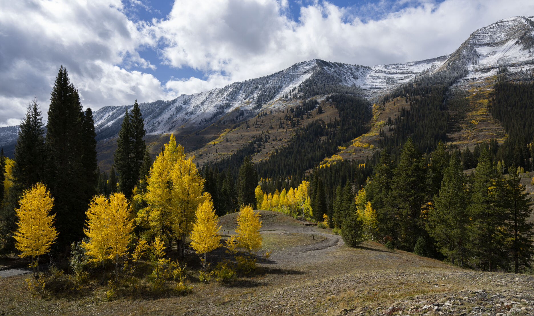 The aspens turn below the snow-capped mountain above Pittsburg, Colo., Tuesday, Oct. 3, 2023. (The Gazette, Christian Murdock) (Christian Murdock/The Gazette)