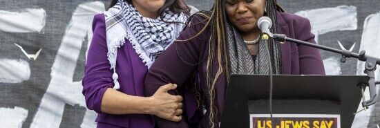 House GOP challenges Democrats to affirm support for Israel amid Omar-Tlaib blowback
