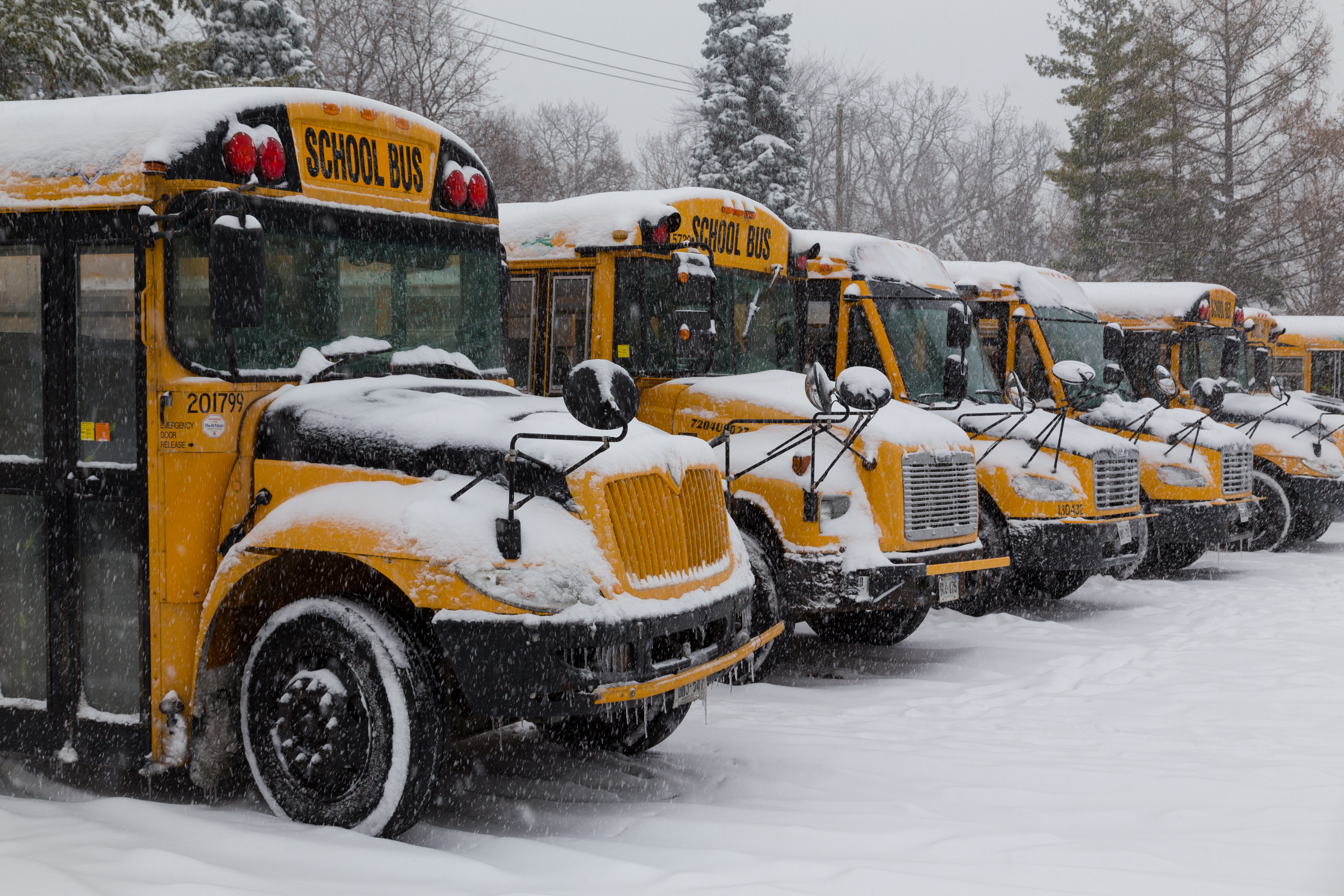 Yellow School Buses Parked in the Snow (mikeinlondon)