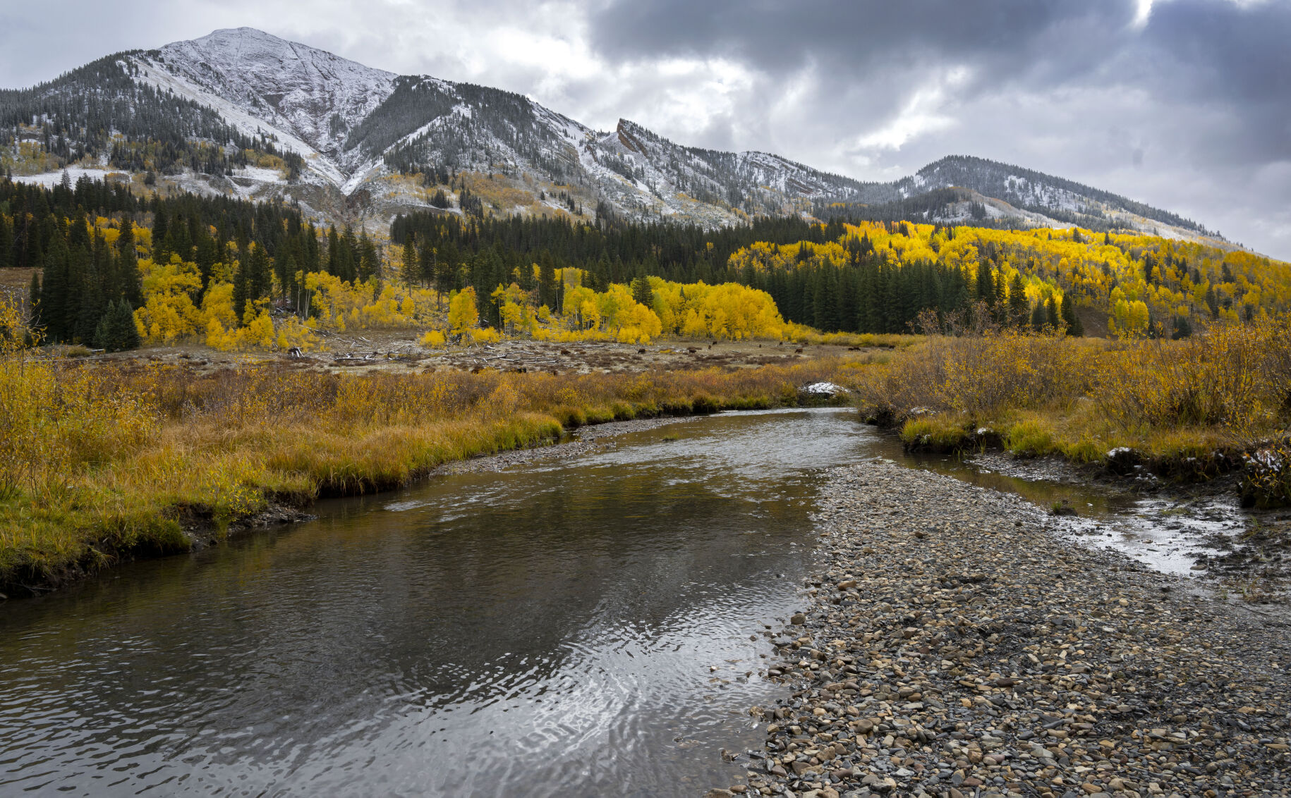 The East River flows through the fall foliage near Gothic, Colo., Tuesday, Oct. 3, 2023. (The Gazette, Christian Murdock) (Christian Murdock/The Gazette)