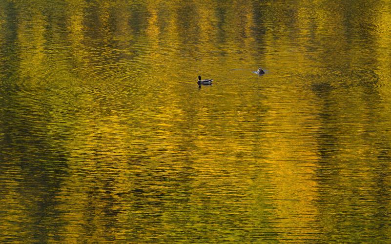 100823-life-aspens lead pg 5.jpg