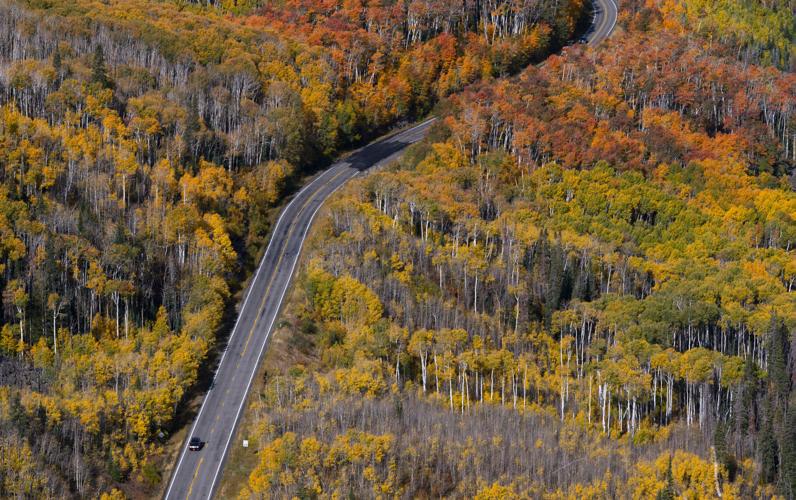 100823-life-apens 4.jpg