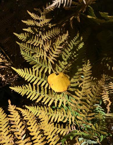 100823-life-apens 11.jpg