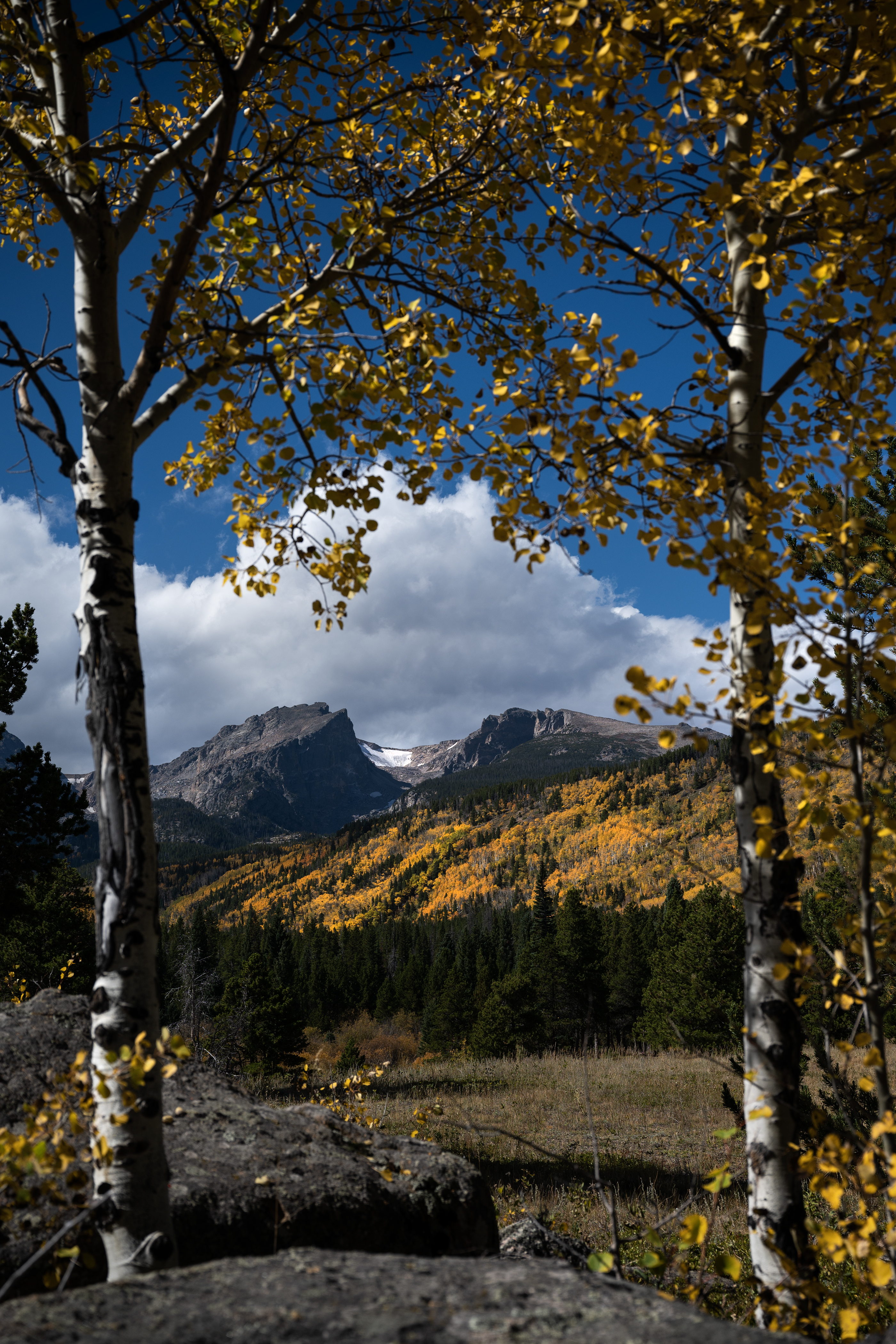 Tyndall Glacier, nestled between Hallett Peak to the left and Flattop Mountain can be seen from the Storm Pass Trailhead on Monday, Oct. 2, 2023, in Rocky Mountain National Park, Colo. (Timothy Hurst/Denver Gazette) (TimHursttim.hurst@gazette.comhttps://secure.gravatar.com/avatar/aca82bd62b4ee425c598527cd6faa1b1?d=mm&r=g)