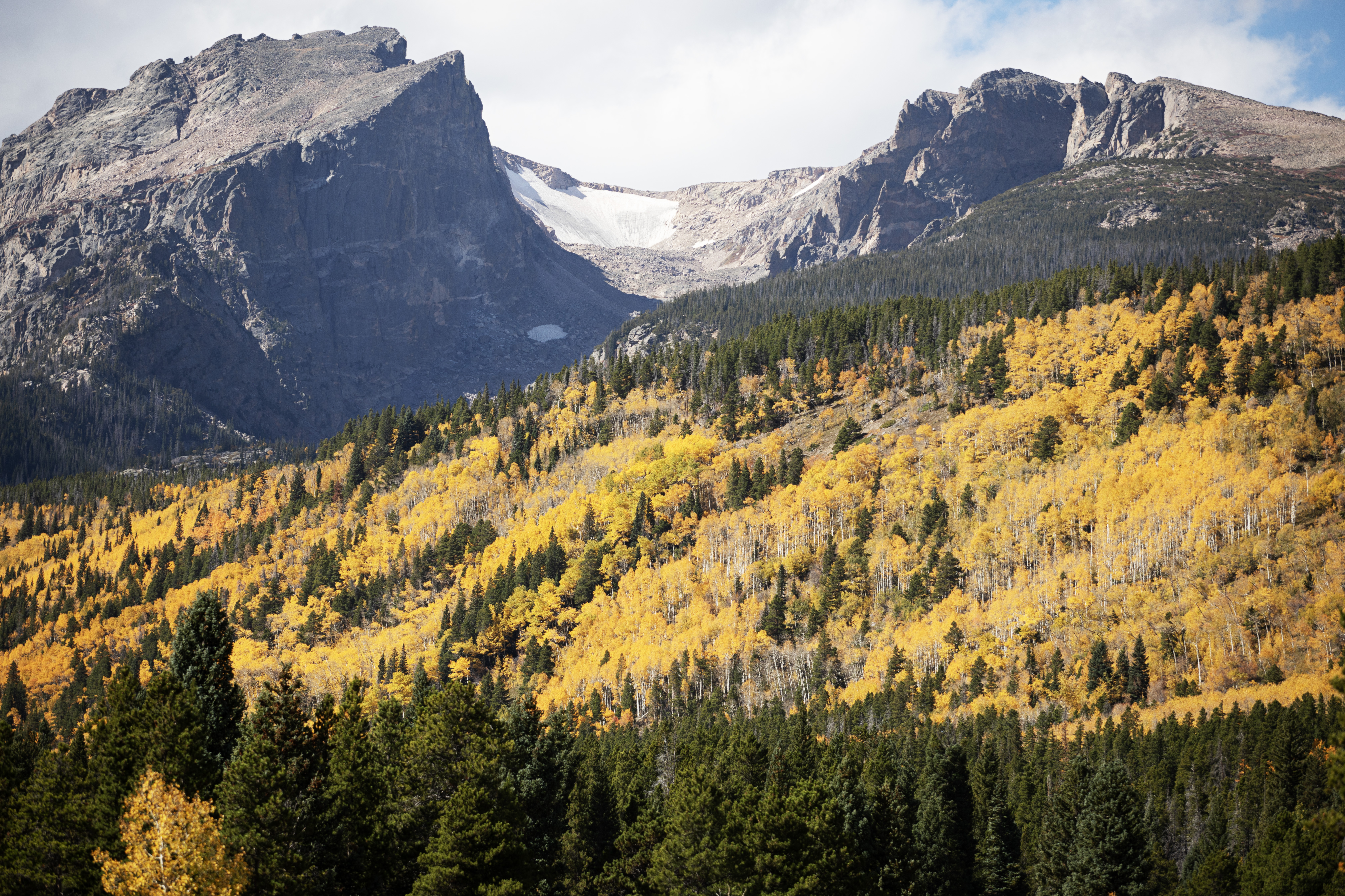 Aspens dazzle along the Bear Lake Corridor section of Rocky Mountain National Park on Oct. 2, 2023. (TomHellauerMultimedia Producertom.hellauer@denvergazette.comhttps://denvergazette.com/content/tncms/avatars/f/9e/622/f9e6228a-3b6b-11ed-bf10-fbb71fa8e421.f54b911252c540f1d61709edc4727a39.png)