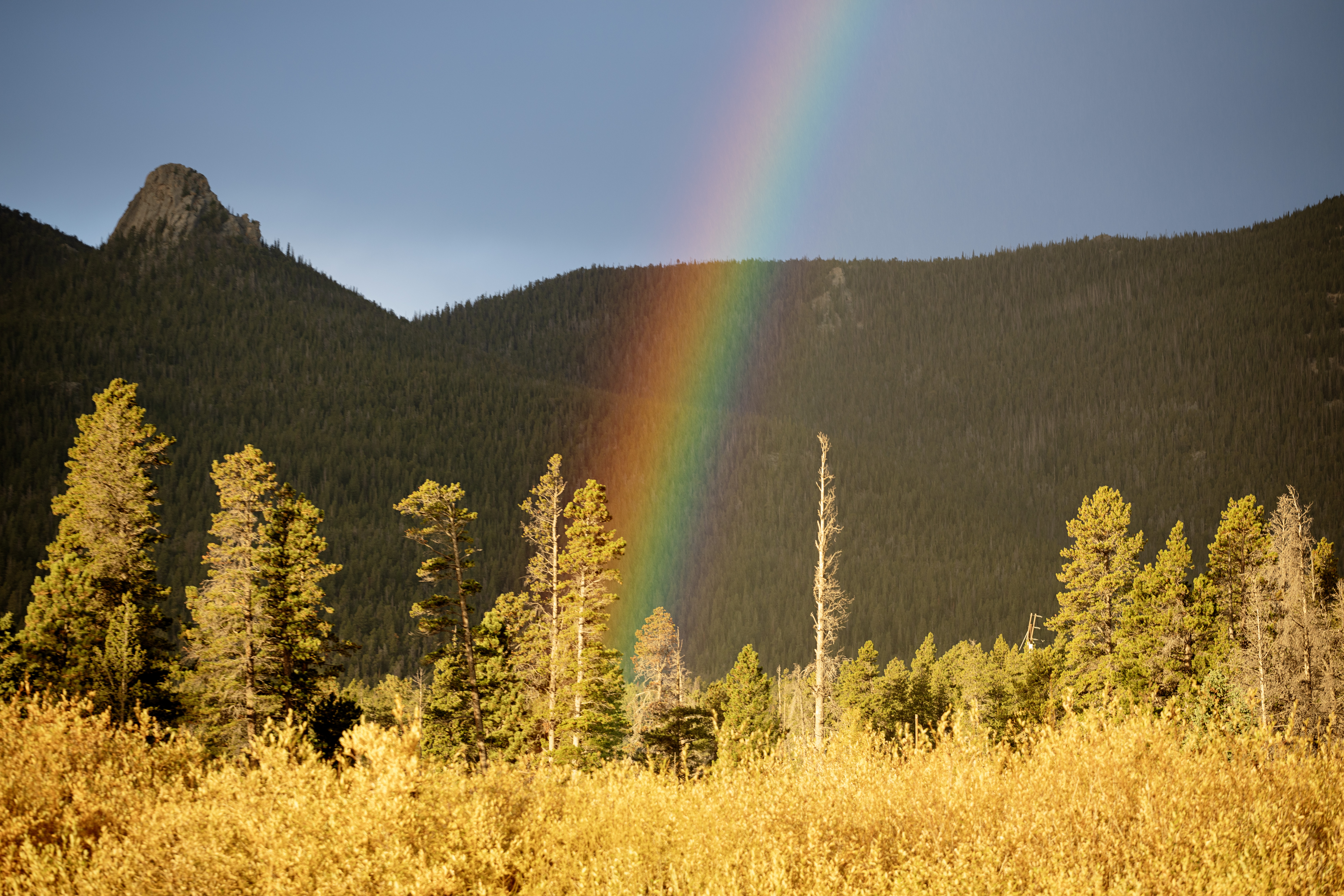 A rainbow forms in the morning sun above yellowing willow bushes near Estes Park, Colo. on Oct. 2, 2023. (TomHellauerMultimedia Producertom.hellauer@denvergazette.comhttps://denvergazette.com/content/tncms/avatars/f/9e/622/f9e6228a-3b6b-11ed-bf10-fbb71fa8e421.f54b911252c540f1d61709edc4727a39.png)