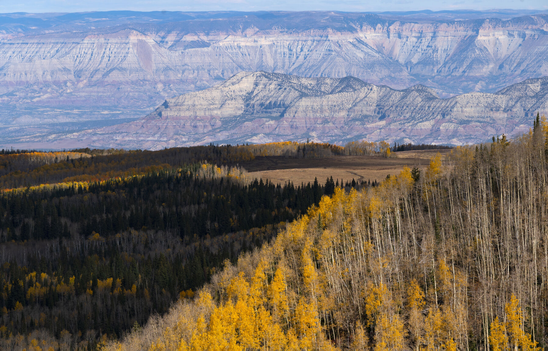 The aspens on the Grand Mesa turn golden with the Book Cliffs in the background early this month. (Christian Murdock/The Gazette)