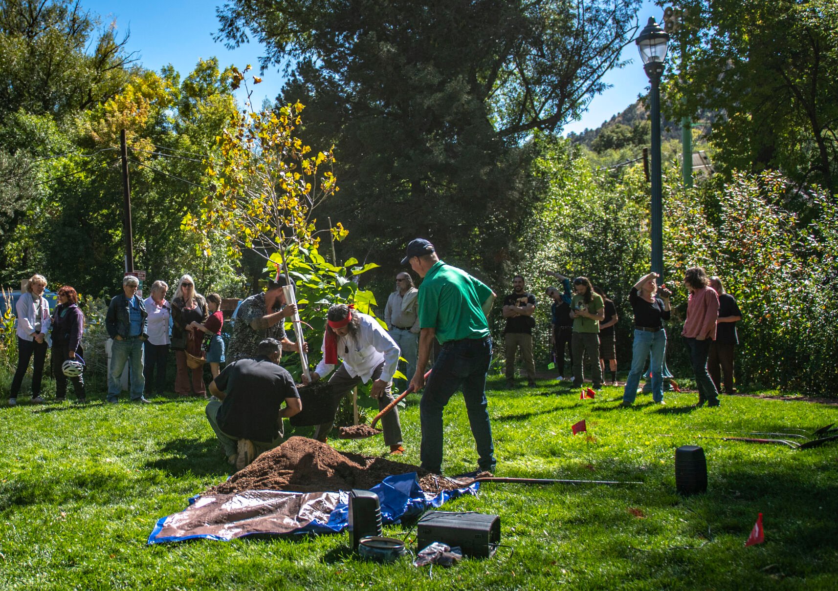 The cottonwood ‘Peace Tree,’ is placed in the ground at Mansions Park in Manitou Springs, Colo. on Sunday, Oct. 8, 2023. (Gabi Broekema, The Gazette) (Gabi Broekema)