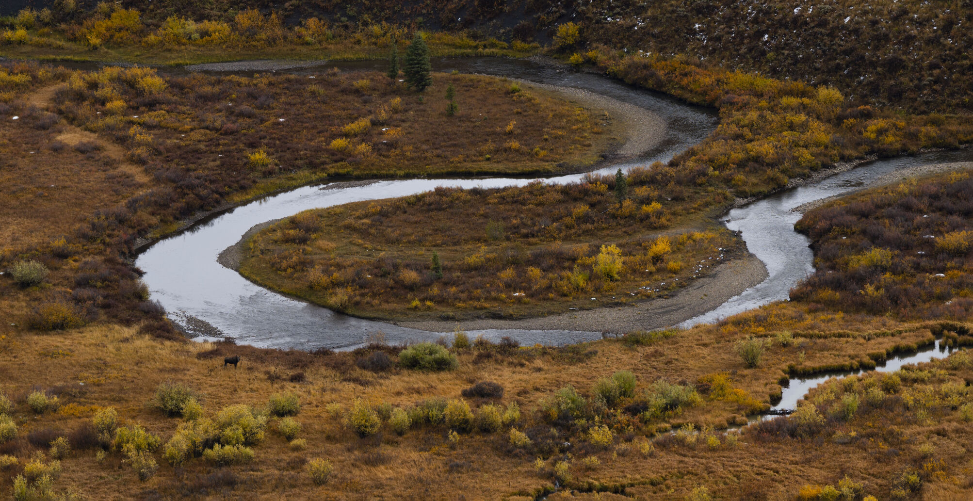 The East River flows though the fall foliage near Gothic, Colo., Tuesday, Oct. 3, 2023. (The Gazette, Christian Murdock) (Christian Murdock/The Gazette)