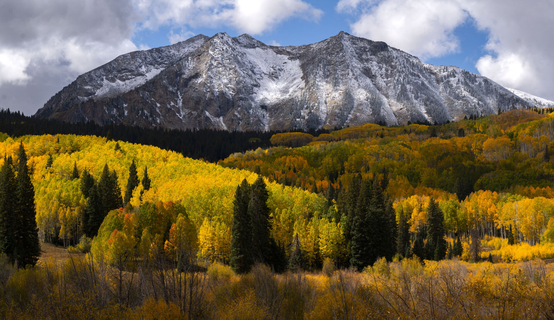 The aspens turn multiple colors on the west side of Kebler Pass near Crested Butte, Colo., Tuesday, Oct. 3, 2023. (The Gazette, Christian Murdock) (Christian Murdock/The Gazette)