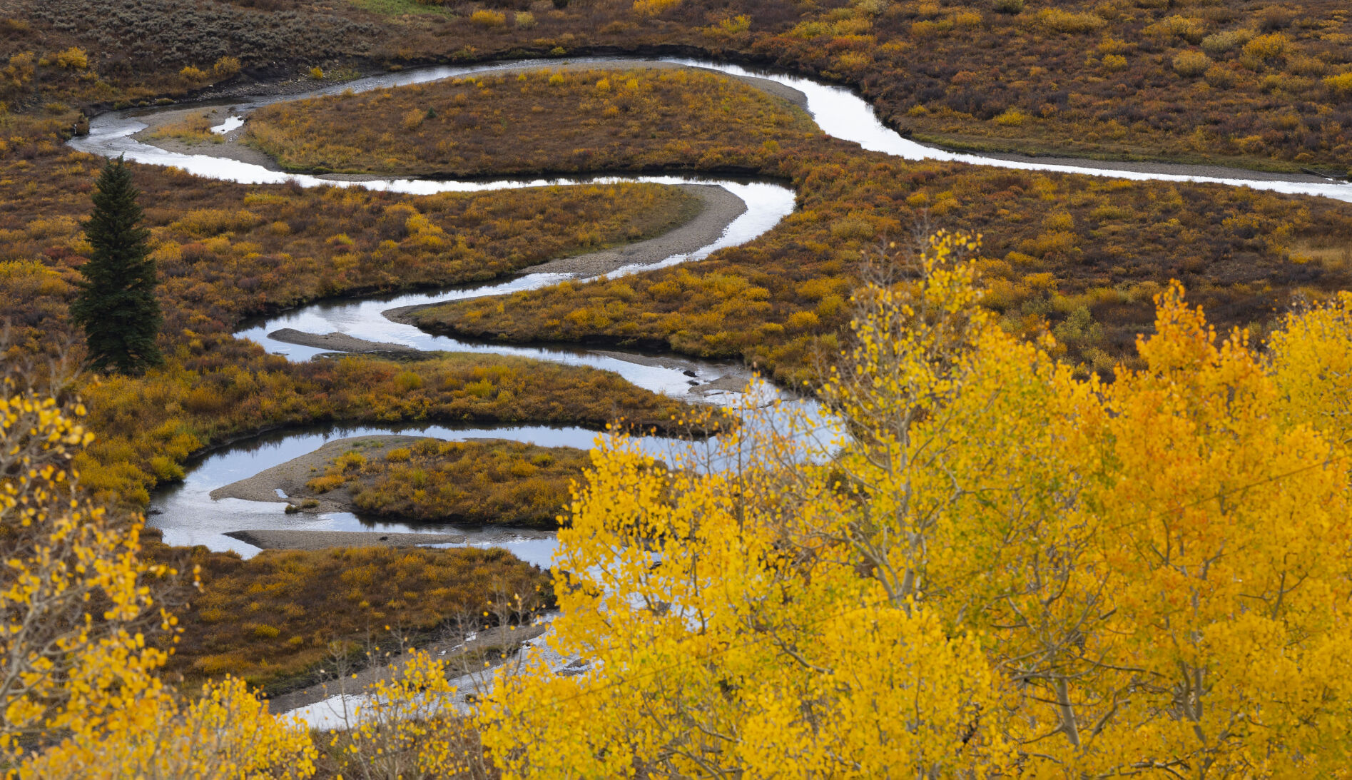 The East River flows though the fall foliage near Gothic, Colo., Tuesday, Oct. 3, 2023. (The Gazette, Christian Murdock) (Christian Murdock/The Gazette)