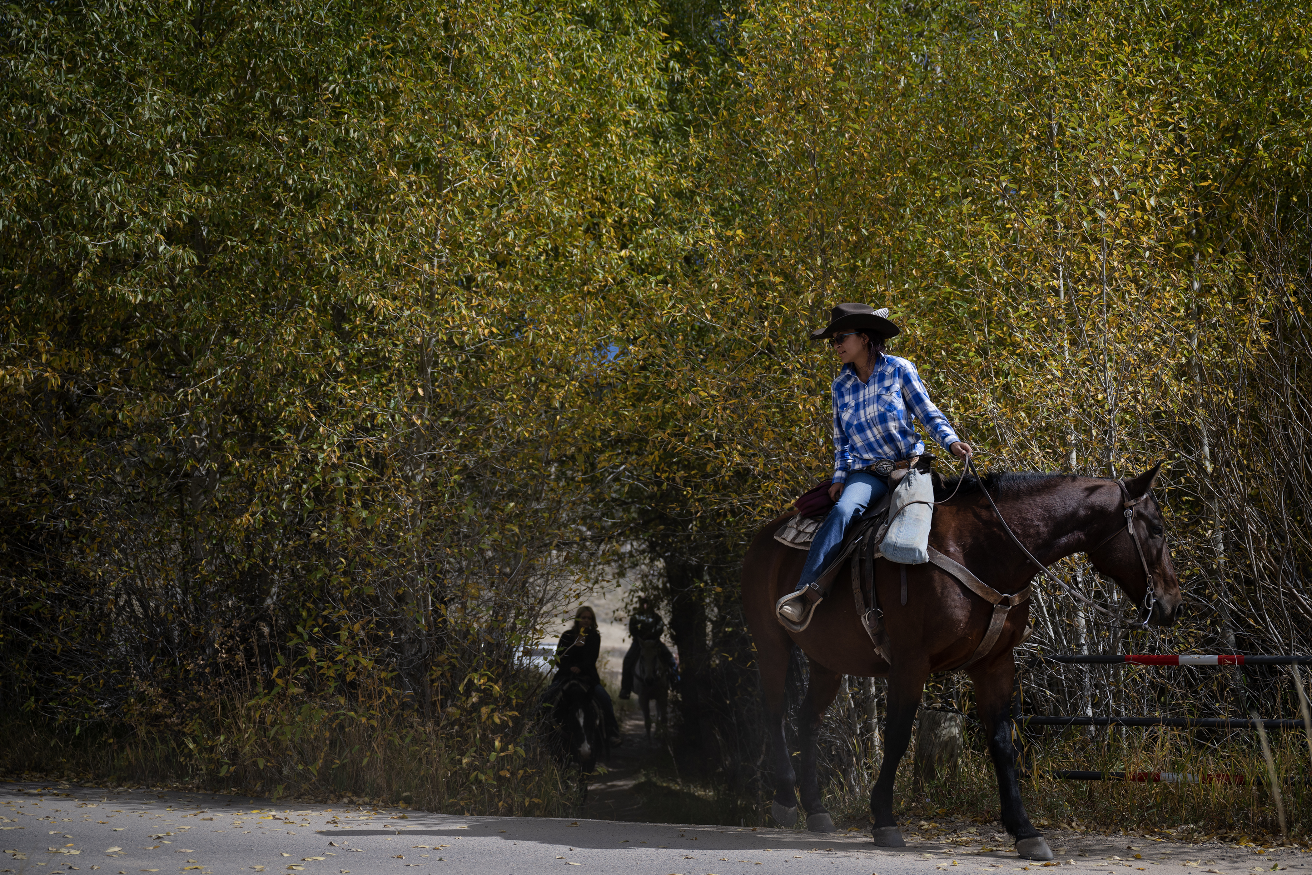 Jackson Stables wrangler Chloie Barker, riding Jitterbug, leads a group ride through a tunnel of trees adjacent to the Big Thompson River on Monday, Oct. 2, 2023, in Rocky Mountain National Park, Colo. (Timothy Hurst/Denver Gazette) (TimHursttim.hurst@gazette.comhttps://secure.gravatar.com/avatar/aca82bd62b4ee425c598527cd6faa1b1?d=mm&r=g)