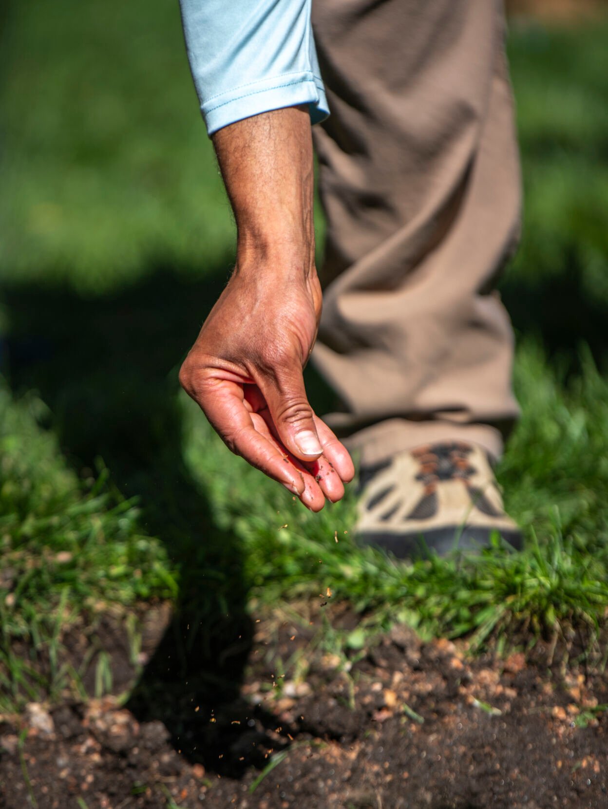 Attendees sprinkle blessings of tobacco leaf into the hole where a cottonwood ‘Peace Tree,’ is to be planted in Mansions Park in Manitou Springs, Colo. on Sunday, Oct. 8, 2023. (Gabi Broekema, The Gazette) (Gabi Broekema)