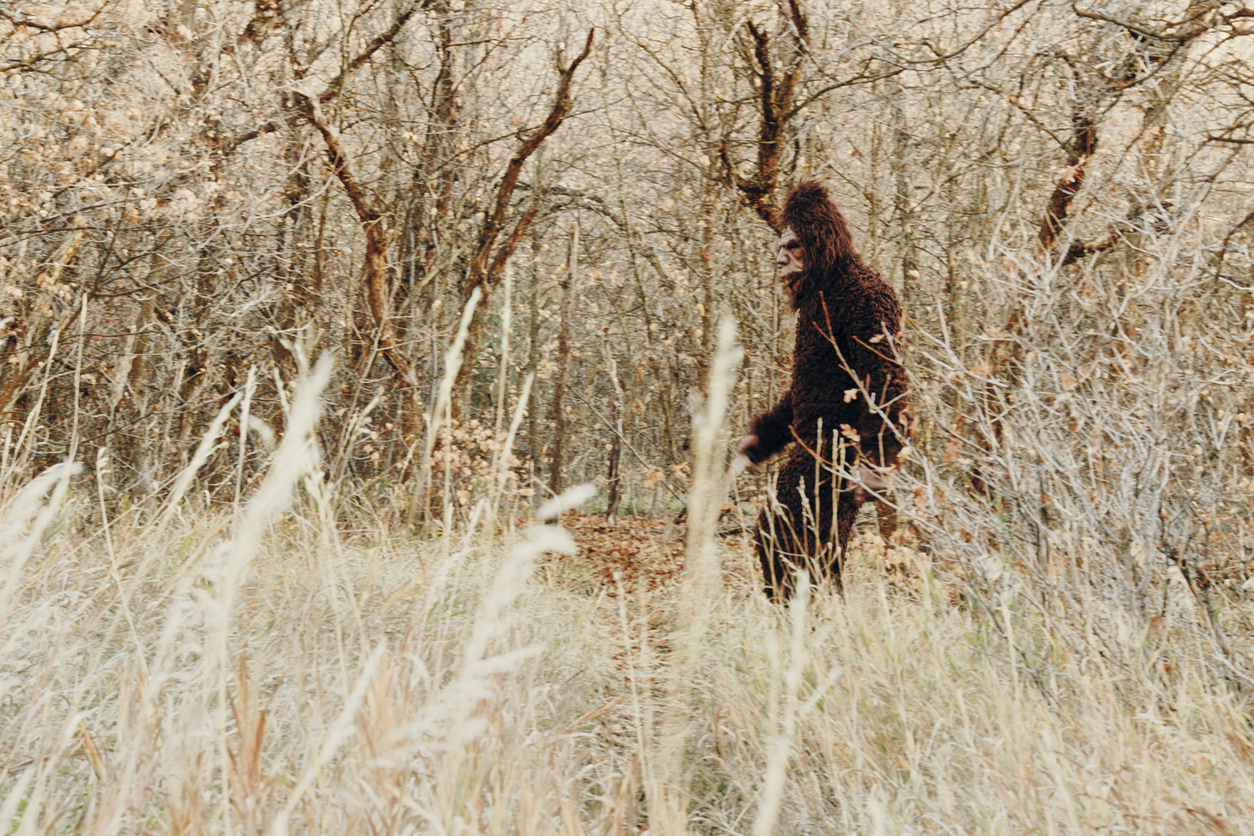 A stock photo of a Bigfoot sighting, see Colorado video in article. Photo Credit: RichLegg (iStock). (RichLegg)