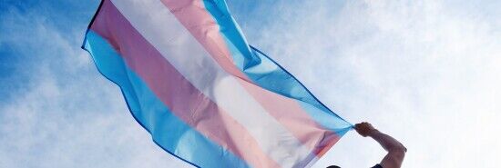 California school district faces legal challenge over critical race theory and transgender policy