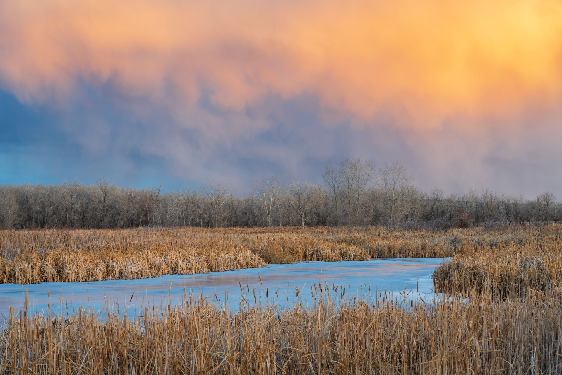 Public invited to comment on Aurora’s parks, recreation, open space master plan