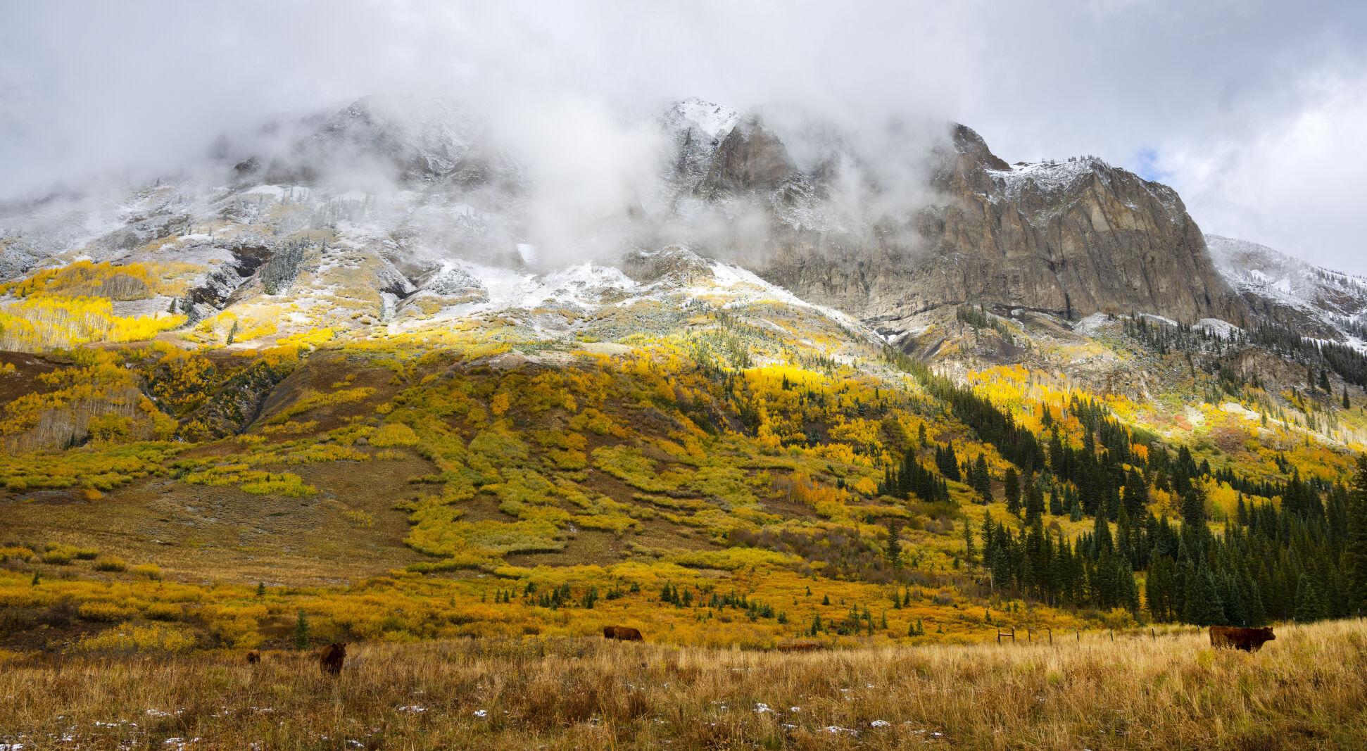 An overnight snowstorm leaves snow on Gothic Mountain near Gothic, Colo., outside Crested Butte, Tuesday, Oct. 3, 2023. (The Gazette, Christian Murdock) (Christian Murdock/The Gazette)