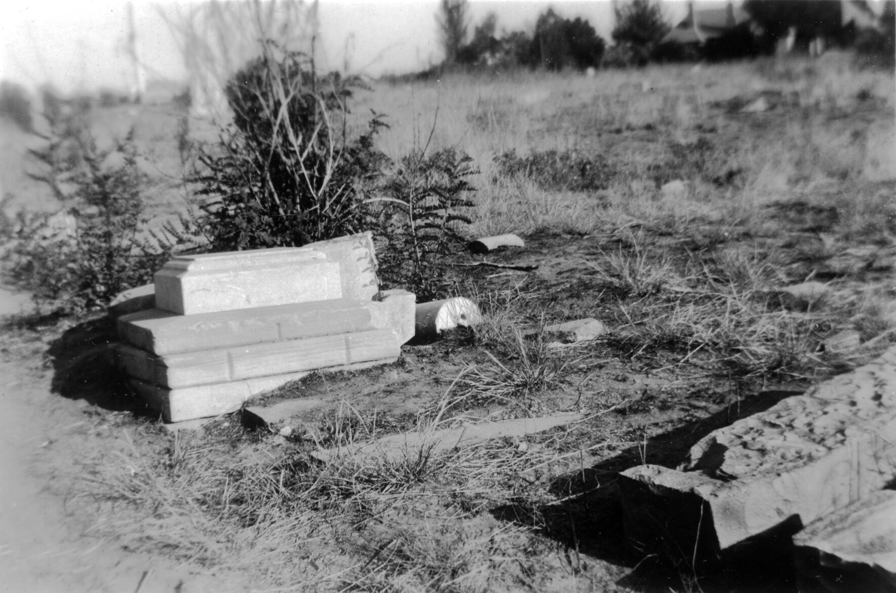 A cannibal, killer in the attic and headless chicken: Real-life horror stories of Colorado