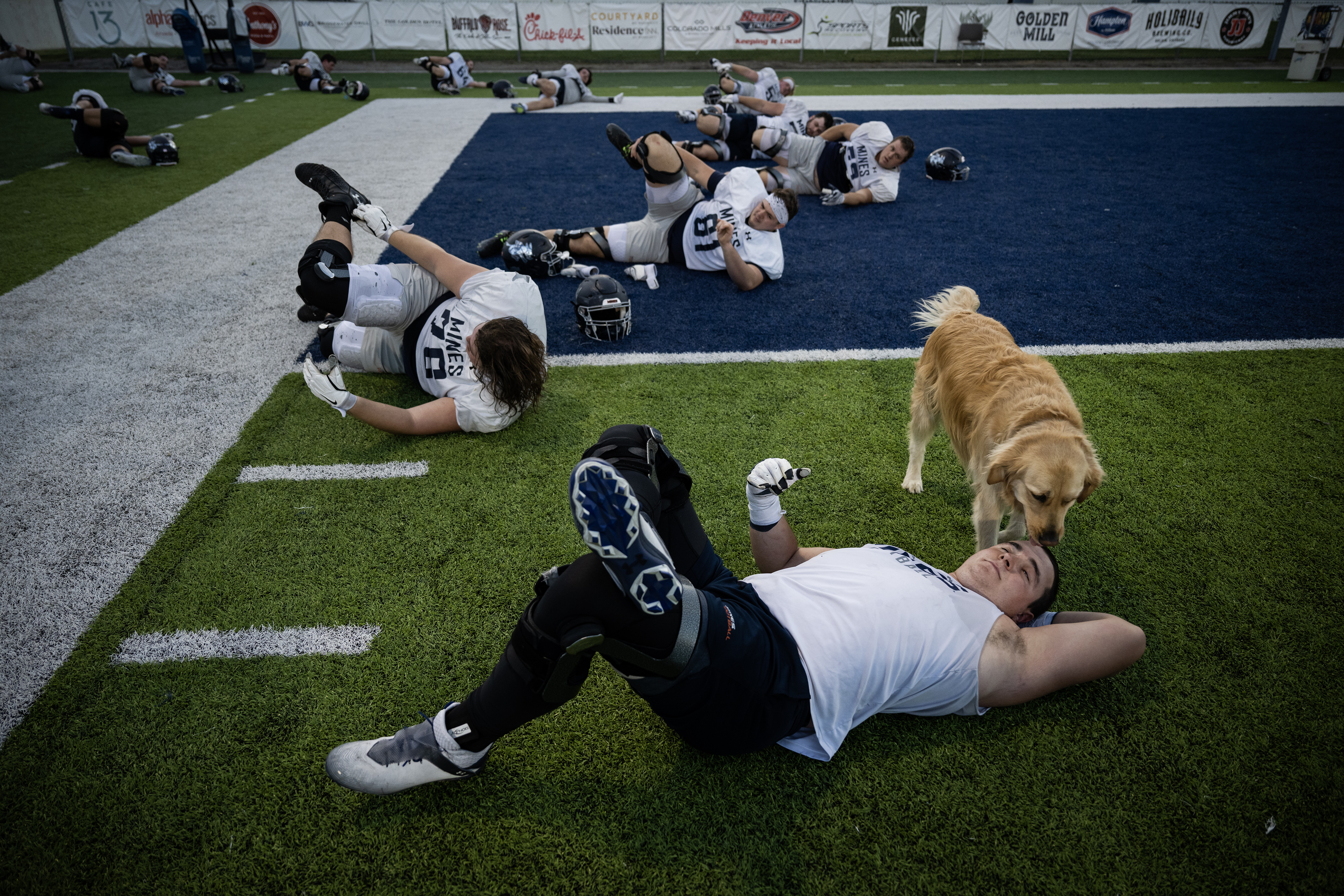 Colorado School of Mines redshirt senior offensive tackle Nic Van de Graaf (66) is greeted by Ella, specialist coach equipment manager Scott Groner’s dog, during a practice on Wednesday, Oct. 25, 2023, at Marv Kay Stadium in Golden, Colo. (Timothy Hurst/Denver Gazette) (TimHursttim.hurst@gazette.comhttps://secure.gravatar.com/avatar/aca82bd62b4ee425c598527cd6faa1b1?d=mm&r=g)