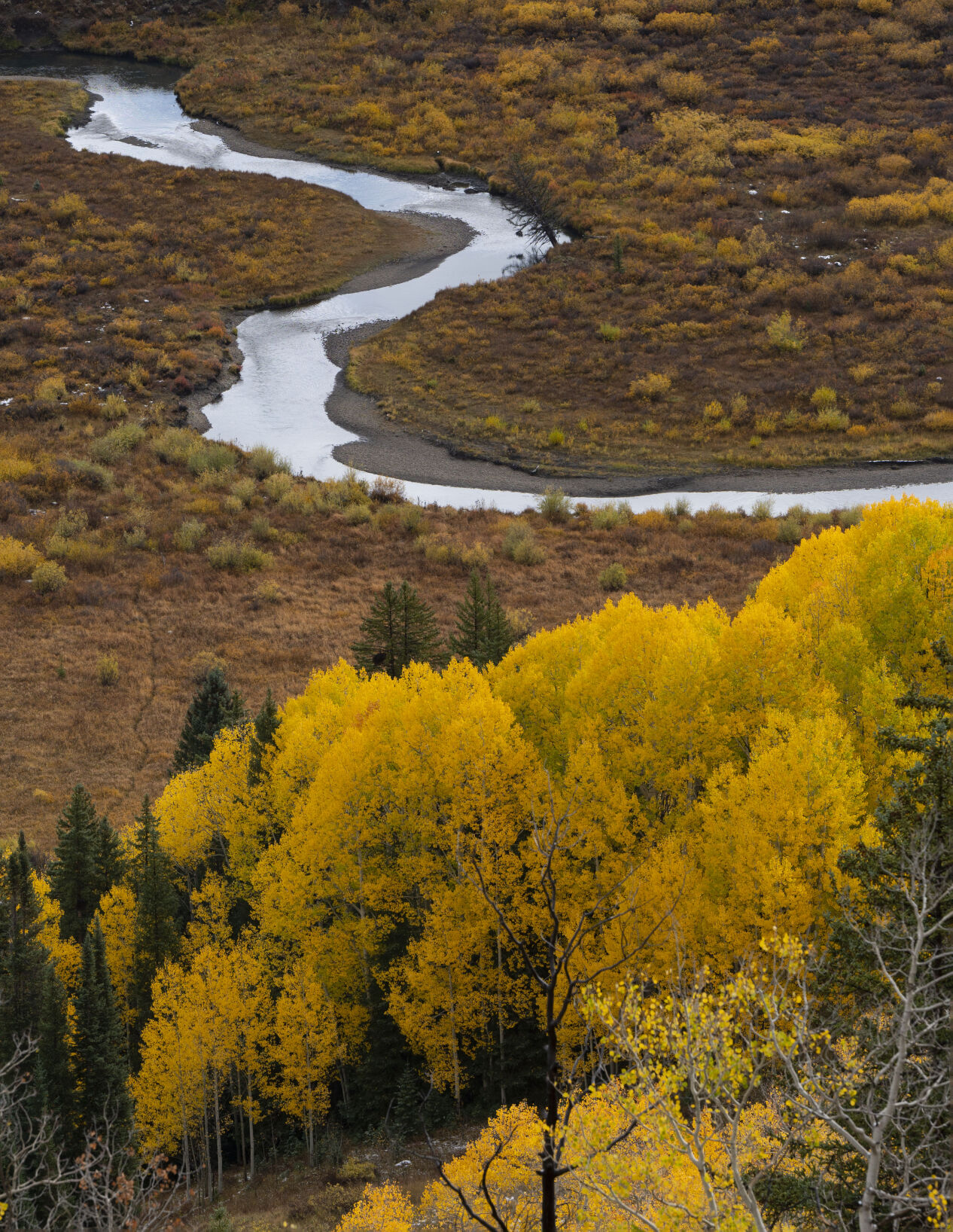 The East River flows though the fall foliage near Gothic, Colo., Tuesday, Oct. 3, 2023. (The Gazette, Christian Murdock) (Christian Murdock/The Gazette)