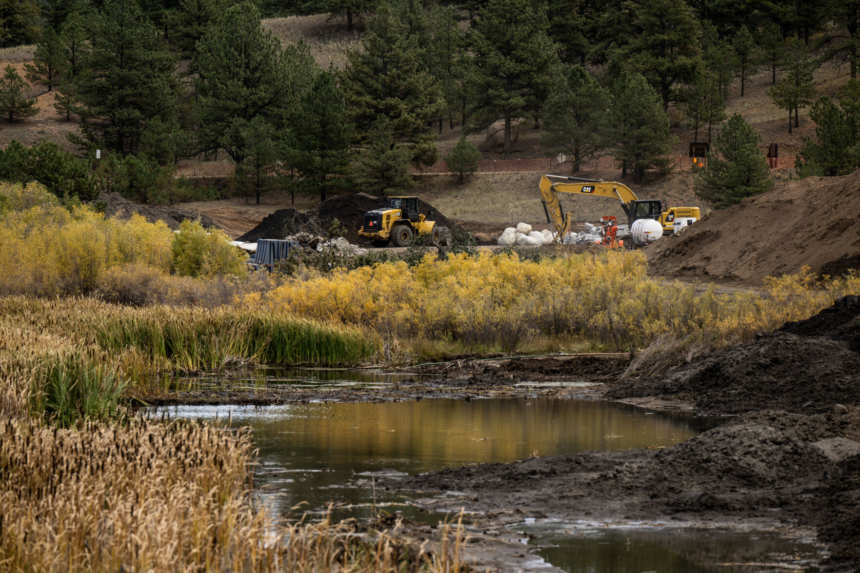 Since the construction of the Lake George Dam cattails have overrun the section of river directly below it. With its removal ecosystem will return to its more native state, according to U.S. Forest Service experts. (Parker Seibold, The Gazette) (Parker Seibold, the gazette)