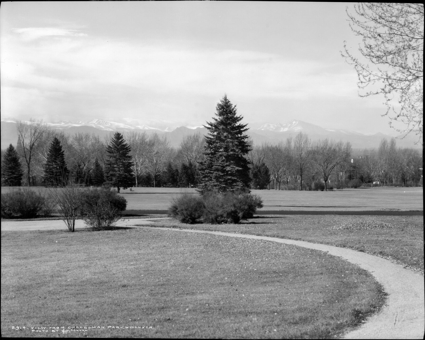 A view of snowy mountains from Cheesman Park across a lawn, walkway and bare trees. (courtesy Denver Public Library, MCC-2914)