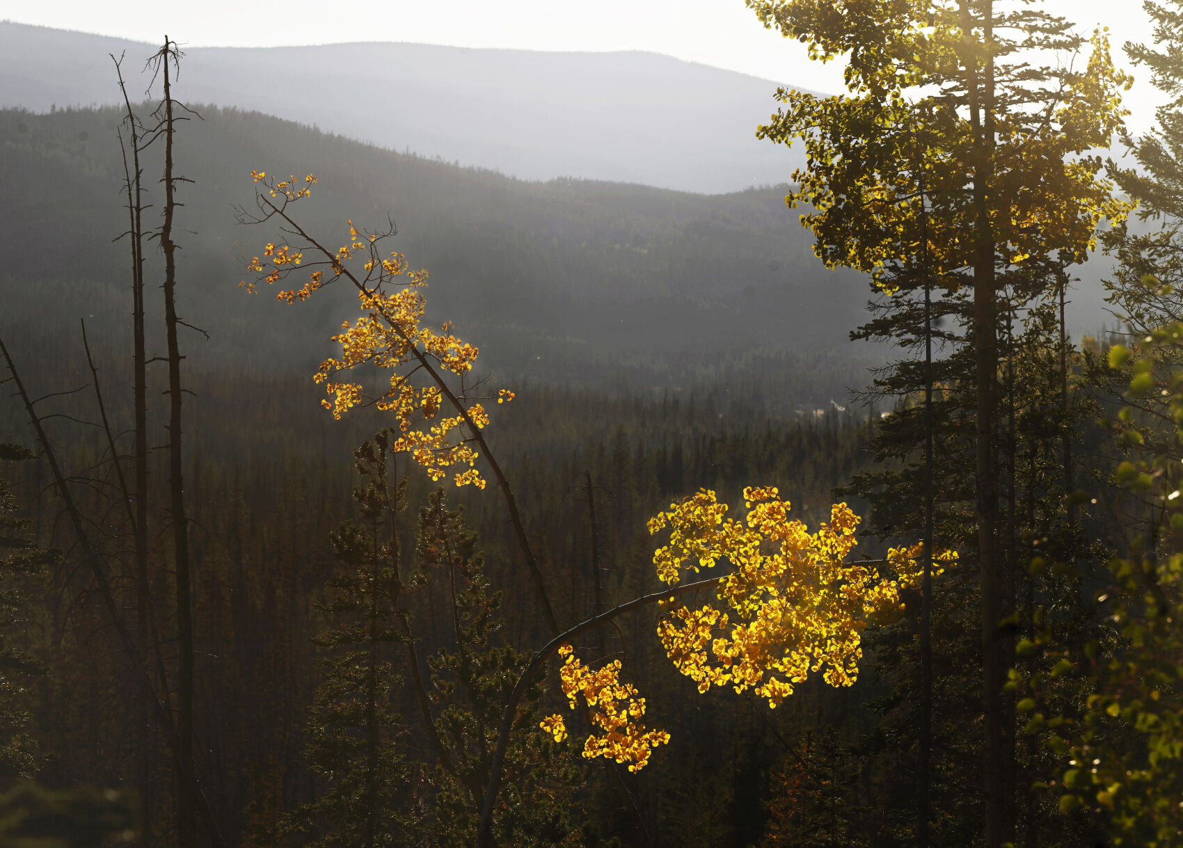 Cameron Pass on Monday, Sept. 25, 2023. (Photo by Jerilee Bennett, The Gazette)