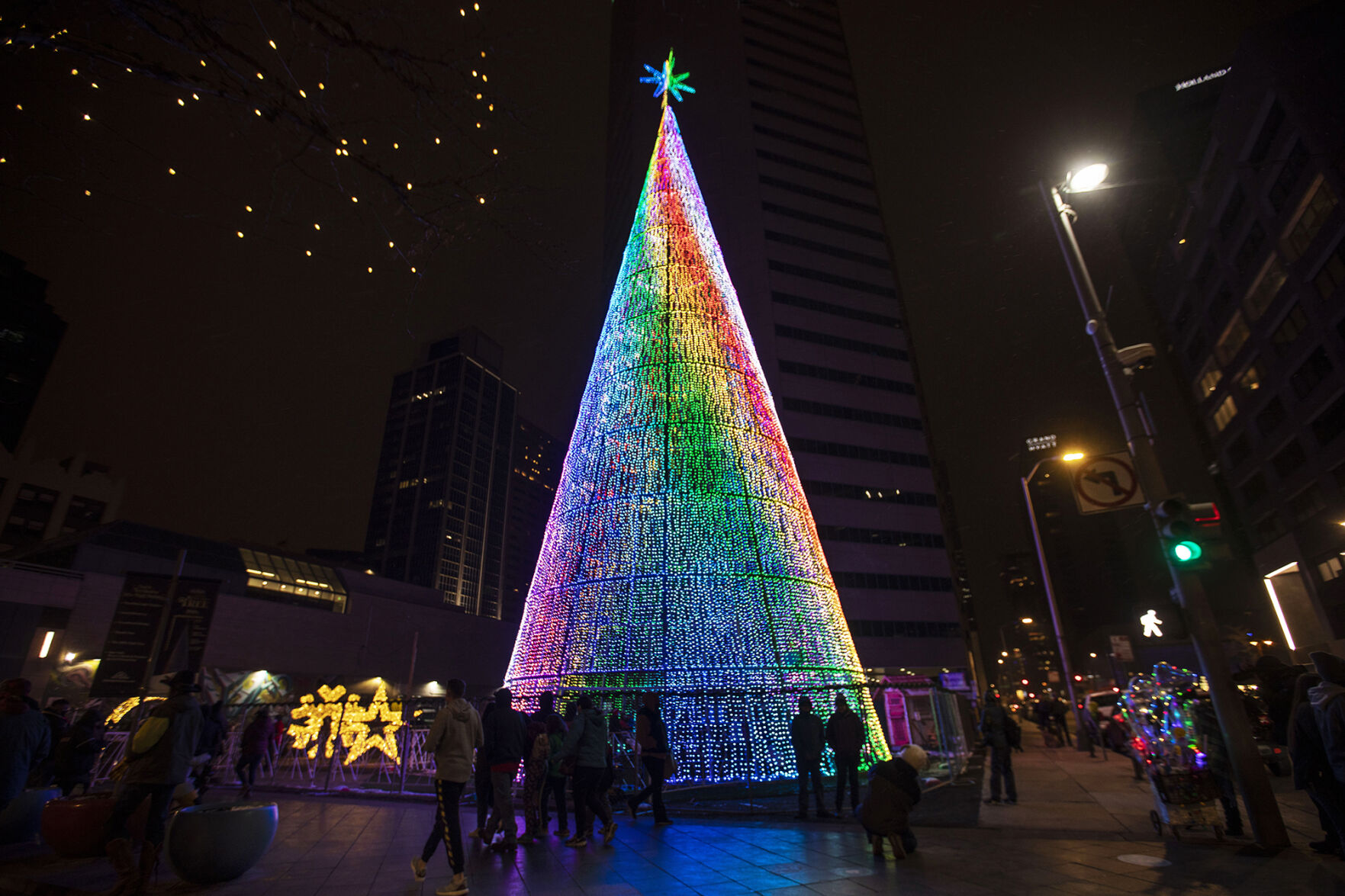 Mile High Tree. Chancey Bush (Chancey Bush/ The Gazette)