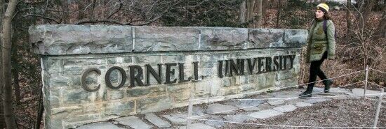 Colleges with high-profile antisemitic incidents caught in federal civil rights inquiry