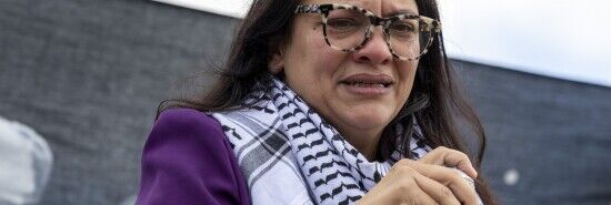 Democrat Rashida Tlaib part of secret pro-Hamas Facebook group: Report