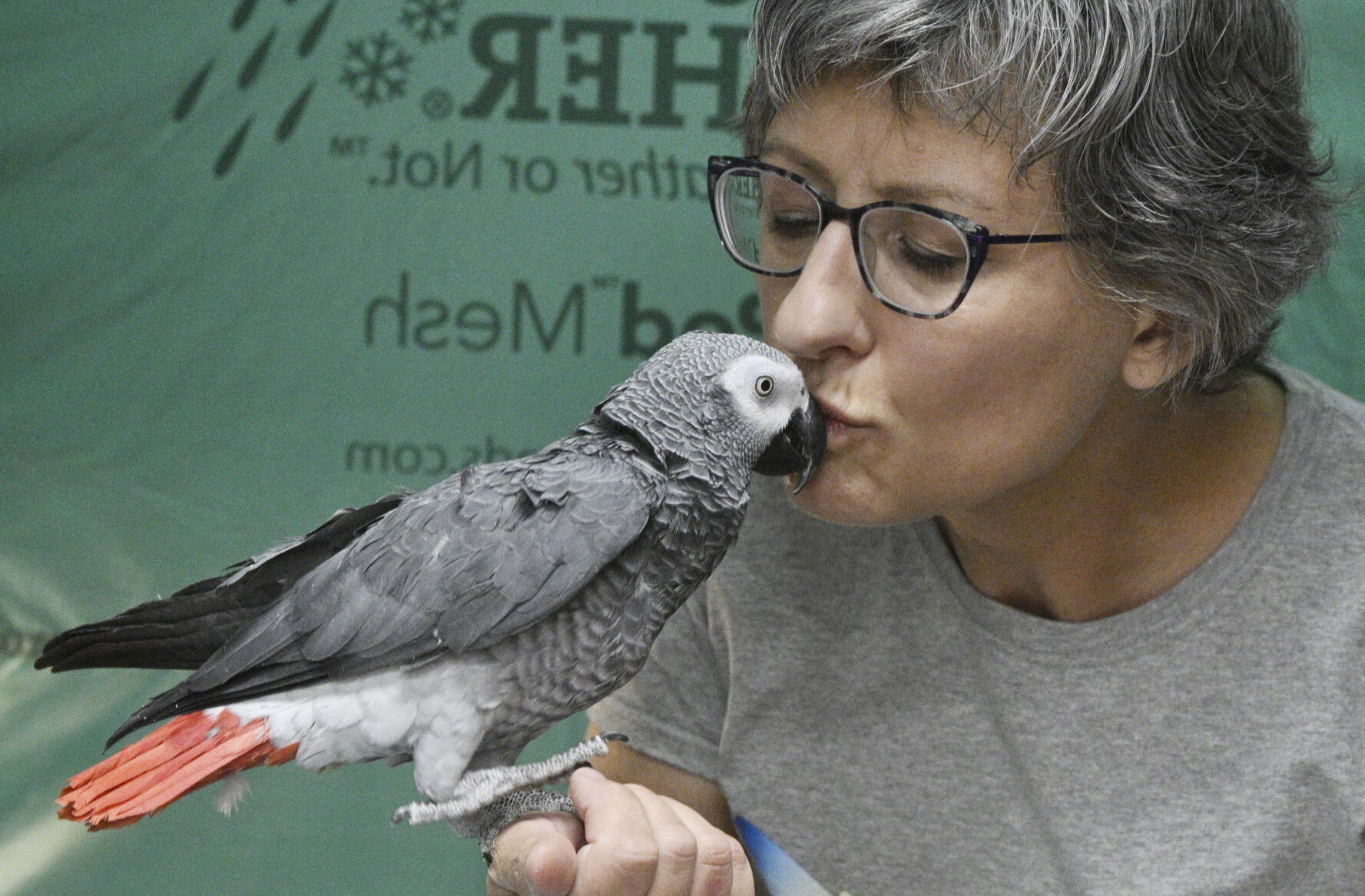 Parker resident takes exotic approach to mobile pet grooming business