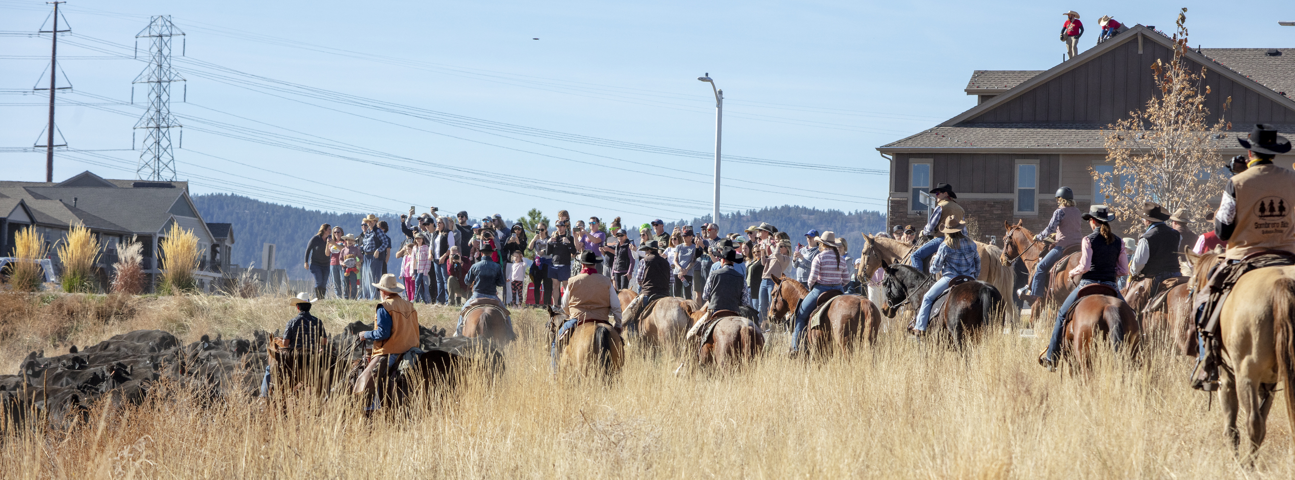 Resident and spectators watch cattle being herded across the 3,400-acre Sterling Ranch property on Saturday, Nov. 4, 2023. The cattle are brought from their summer grazing pastures to their winter home as part of a rotational grazing strategy, which is critical way to foster a healthier ecosystem across landscapes. (Bear Gutierrez/Special to The Denver Gazette) (Bear Gutierrez/Special to The Denver Gazette)